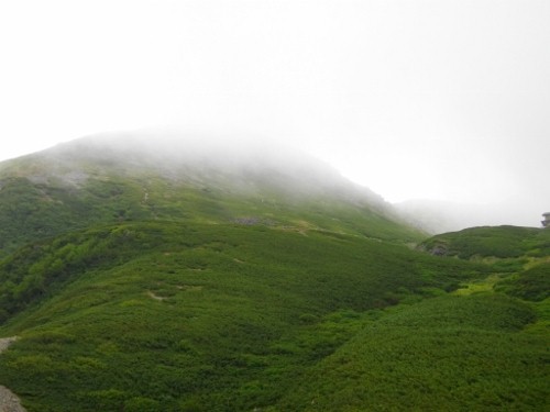 仙丈ケ岳藪沢仙丈ヶ岳 (500x375).jpg