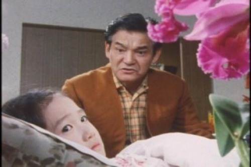 PDVD_002.jpg