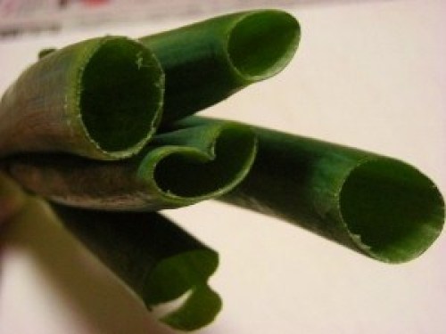 DSCN4833 (300x225).jpg