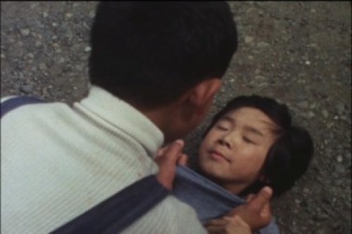 PDVD_012.jpg