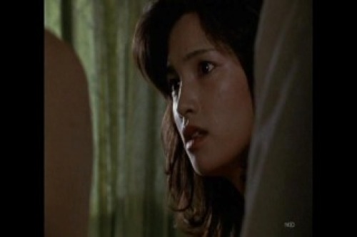 PDVD_029.jpg