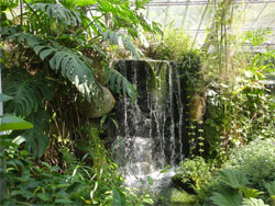 箱根28.jpg