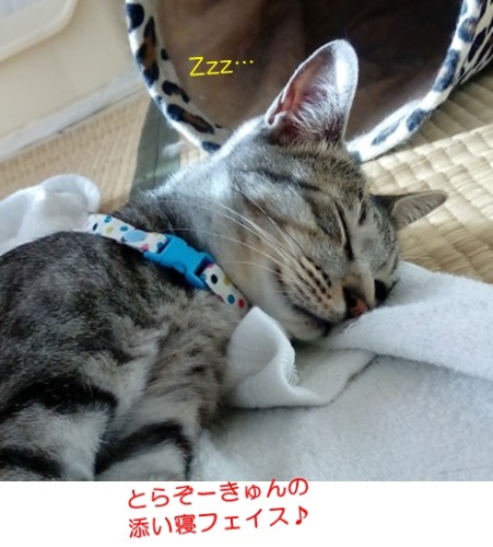 20150923_2.jpg