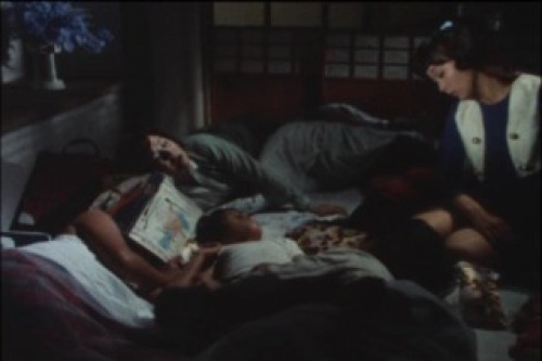 PDVD_051.jpg