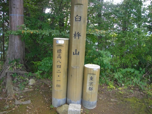 奥高尾縦走路臼杵山山頂.JPG