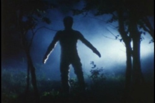 PDVD_001.jpg