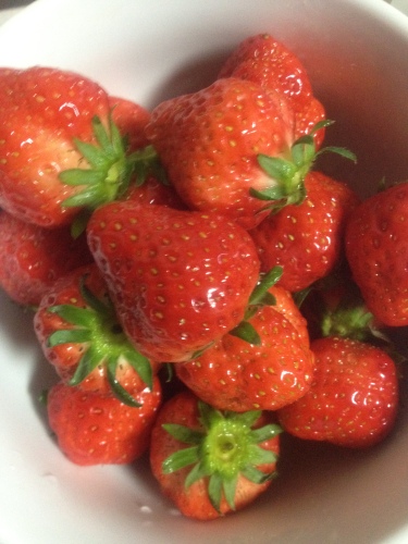 ４月１９日　さぬきひめ