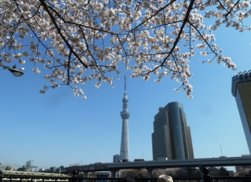 pict-墨田公園 1.jpg