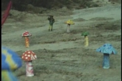 PDVD_030.jpg
