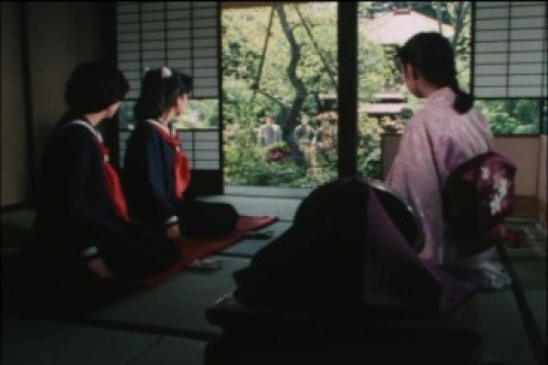 PDVD_008.jpg