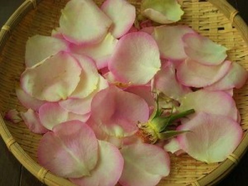 DSCN8461 (300x225).jpg