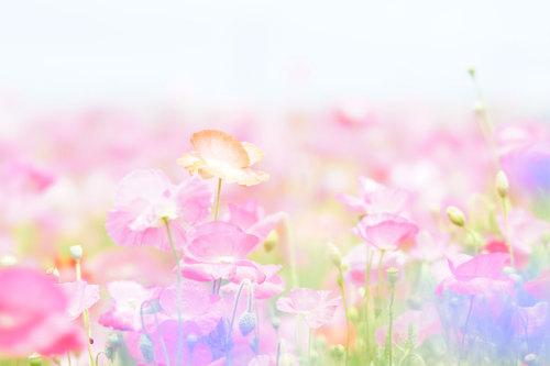 2013.05.26.02.jpg