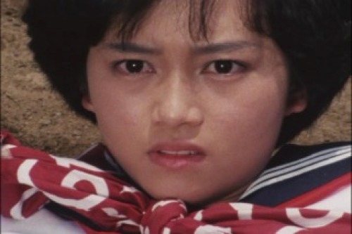 PDVD_033.jpg