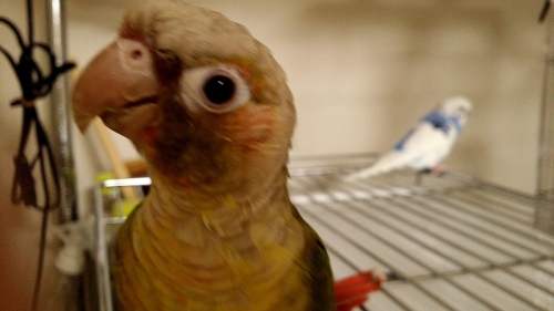 CN_2013_1109_2257_35 (800x450).jpg