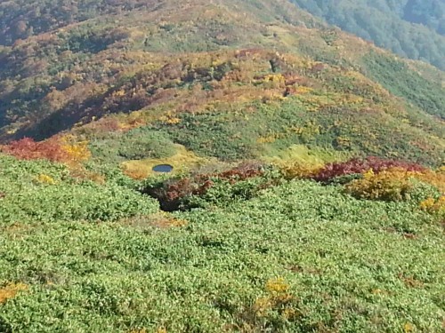 登山道より百草池.jpg