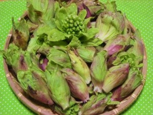 DSCN6322 (300x225).jpg