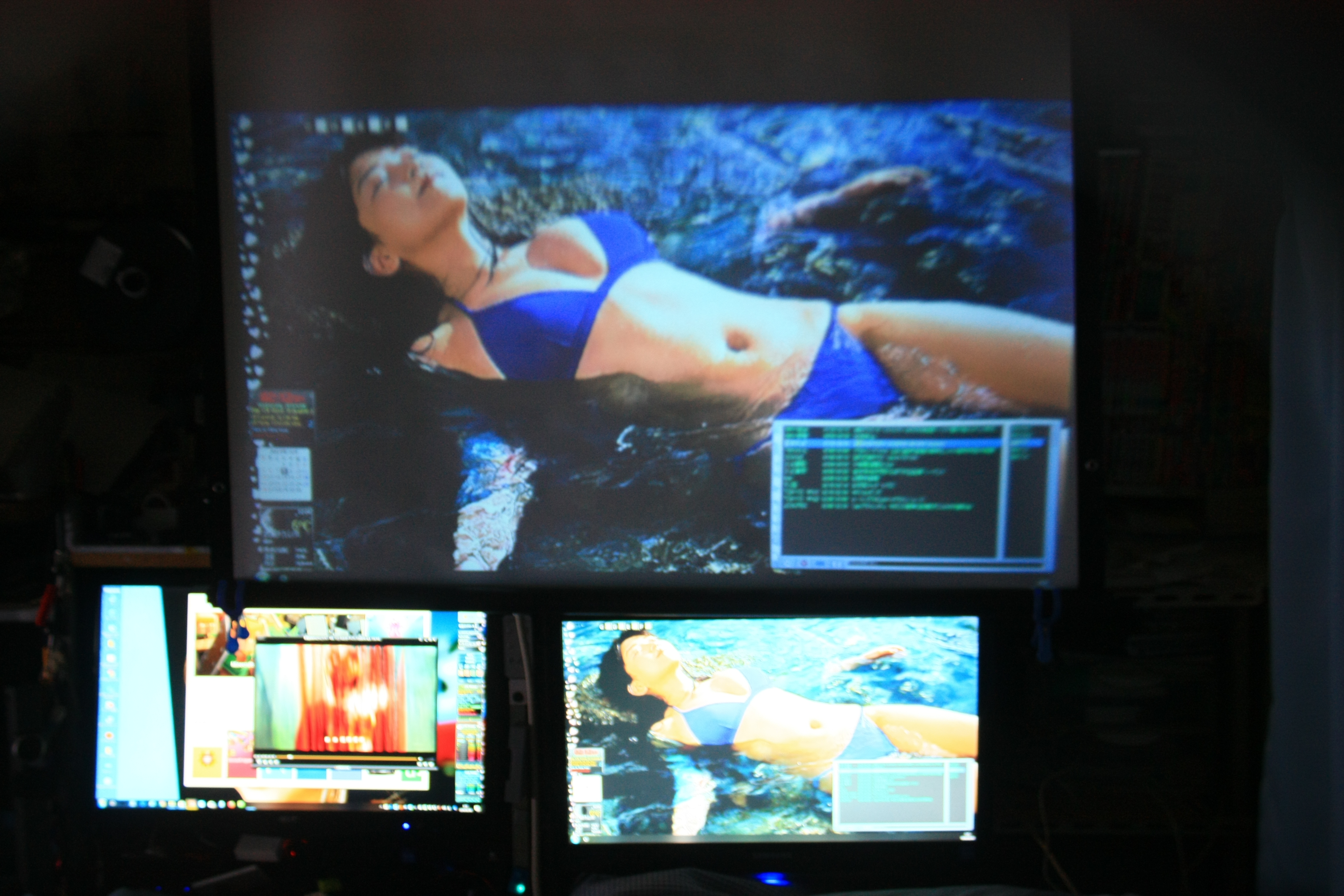 プロジェクターの縦置き完了 まあまあうまくいきました 猫が好き のブログ 楽天ブログ