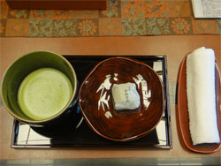 かわせみ15.jpg