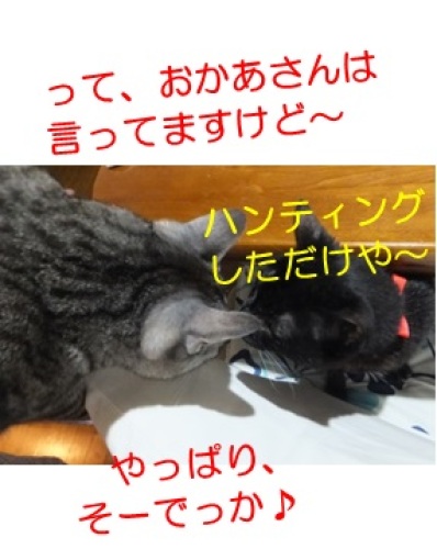 20130810_7.jpg