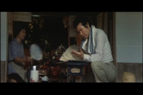PDVD_030d.jpg