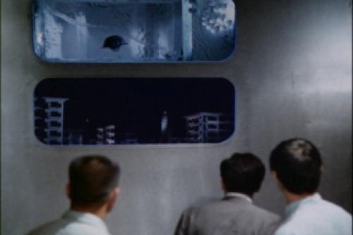 PDVD_047.jpg