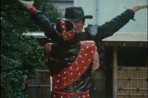 PDVD_005.jpg
