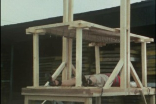 PDVD_013.jpg