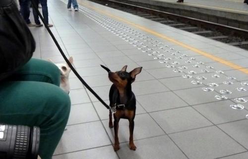 pict-ブリュッセル・メトロ 17.jpg