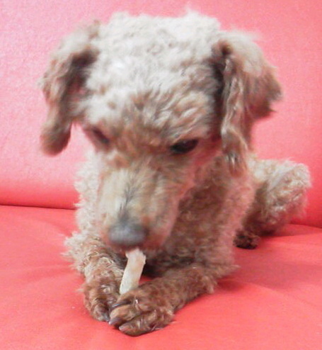 2013051717340001(V.2013_05_19__02_06_22).jpg
