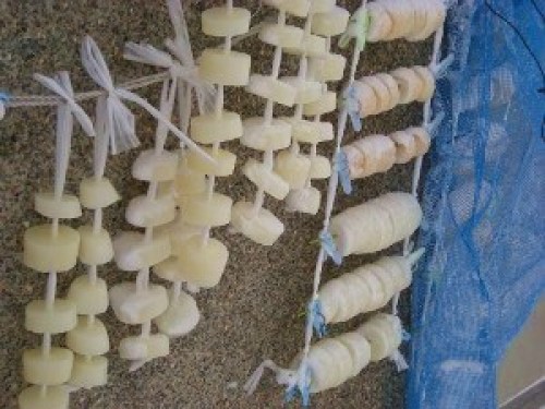 DSCN3883 (300x225).jpg