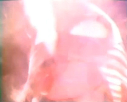 WS000131.jpg