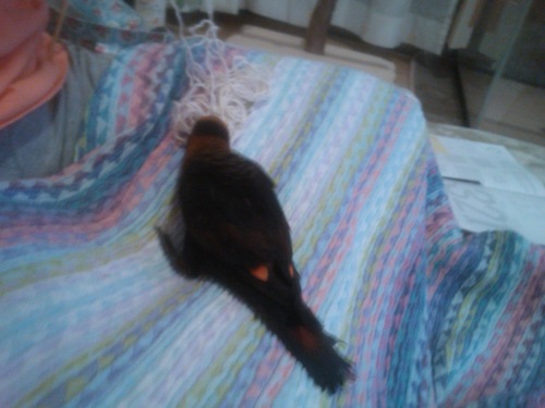 2 メイでーす♪.JPG