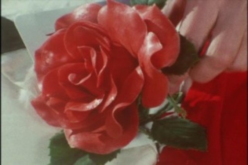 PDVD_022.jpg