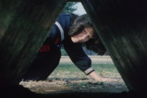 PDVD_010.jpg