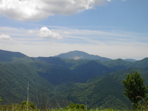 矢倉岳山頂神山.JPG