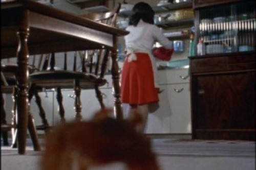 PDVD_021.jpg