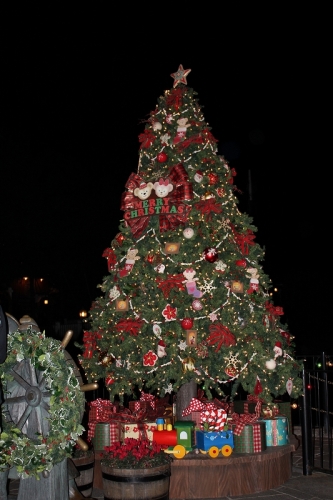 IMG_9827.jpg