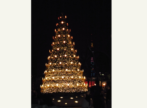 20131221六本木ヒルズ ツリー夜景.jpg