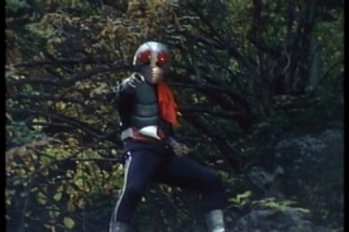 PDVD_018.jpg