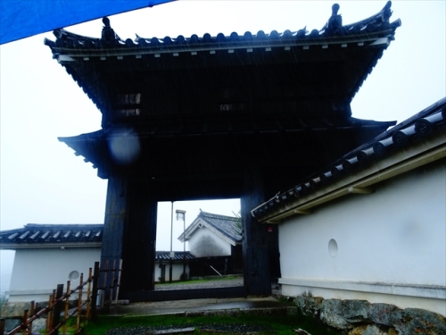 DSC05694_R.JPG