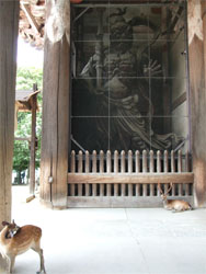 東大寺6.jpg