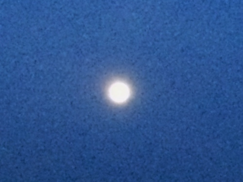 IMG_9800 (640x479).jpg