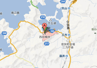 西田梅林 地図