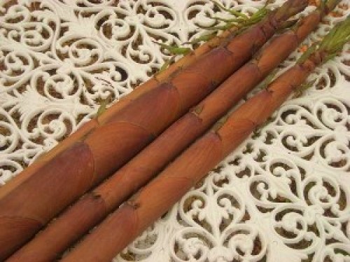 DSCN8216 (300x225).jpg