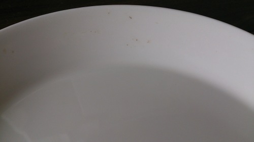 DSC_2333.jpg