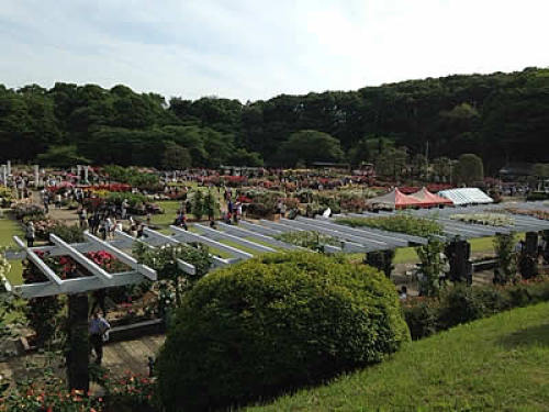 rosegarden01.jpg