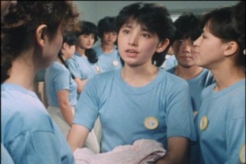 PDVD_016.jpg