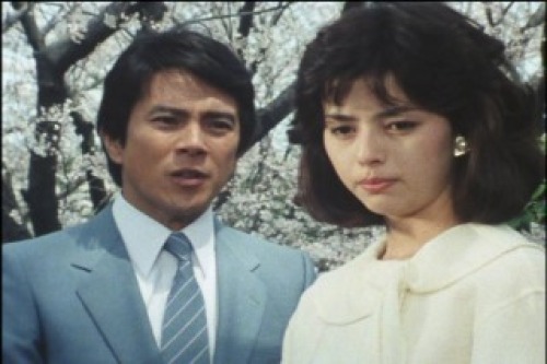 PDVD_004.jpg