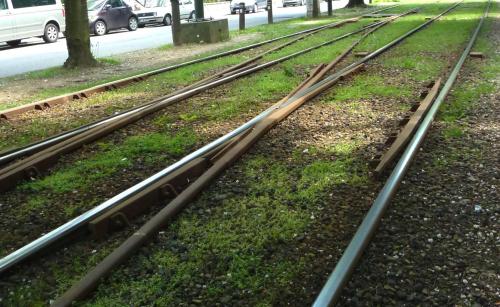 pict-ブリュッセル・トラム 17.jpg