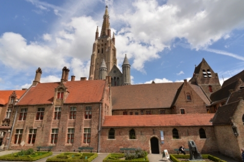 pict-メムリンク 2.jpg